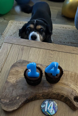 Hendricks-14th Birthday-2025_11_27-2.jpg